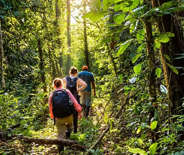 Tambopata 3 days / 2 nights