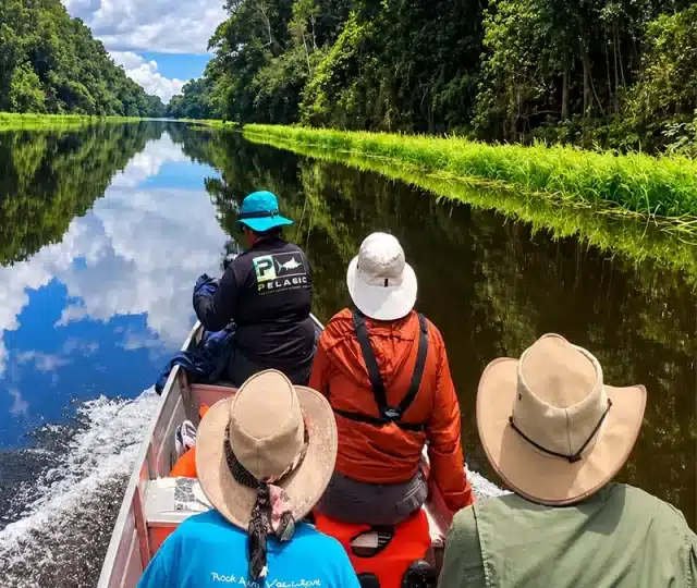 Tours Manu Zona Cultural Amazonico, 4 Dias / 3 Noites